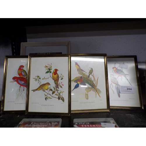 104 - SELECTION  OF EXOTIC BIRD PICTURES ETC.