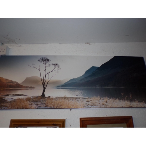 15 - UNFRAMED LANDSCAPE