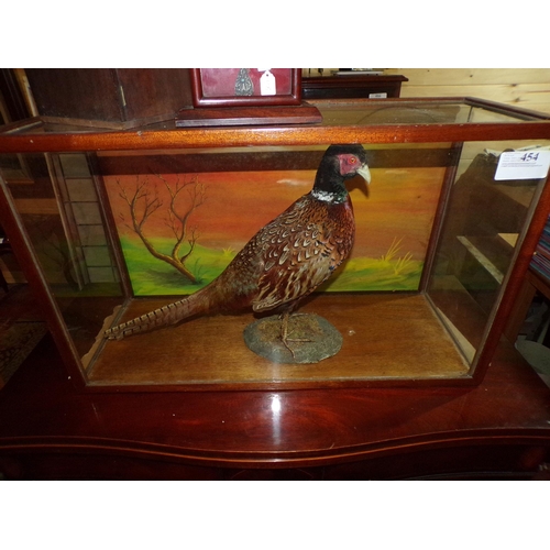 454 - STUFFED PHEASANT IN CASE