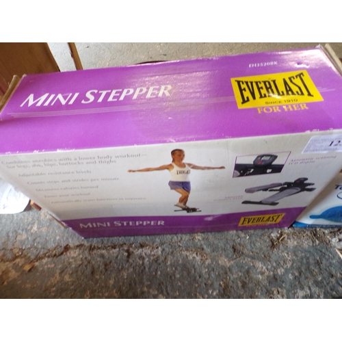 123 - EVERLAST MINI STEPPER & OTHER EXCERSISER