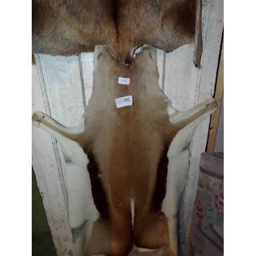 262 - DEER HIDE 2