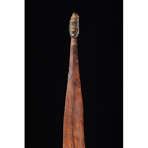 603 - AN ABORIGINAL SPEAR THROWER AUSTRALIA, 19TH CENTURY Wood, gum, tooth or claw, modern stand thrower 6... 