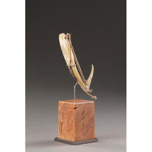 624 - Y A MĀORI FISHING LURE/HOOK NEW ZEALAND 19TH CENTURY Wood, abalone shell, bone and twine, modern bas... 