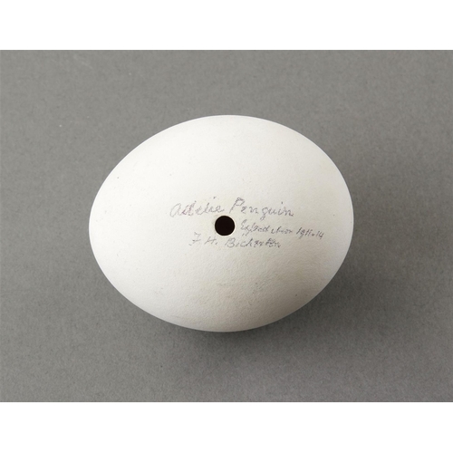 642 - A RARE 'ADELIE' PENGUIN EGG FROM THE AUSTRALIAN 1911-14 ANTARCTIC EXPEDITION ADELIE LAND, ANTARCTIC,... 