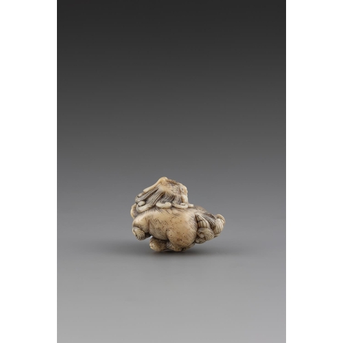 719 - A JAPANESE CARVED STAG'S HORN NETSUKE 18TH CENTURY/EARLY 19TH CENTURY Depicting a Playful Shishi cro... 