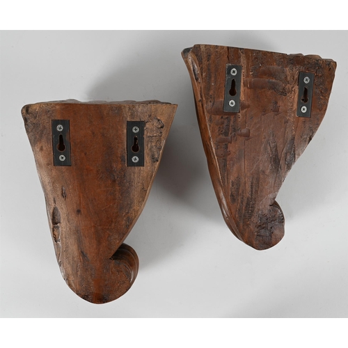 769 - A PAIR OF CARVED WALNUT WALL BRACKETS 20TH CENTURYEach of drawn scrolled form35cm high, 25cm wide, 1... 