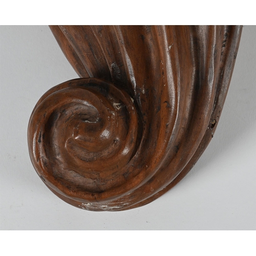 769 - A PAIR OF CARVED WALNUT WALL BRACKETS 20TH CENTURYEach of drawn scrolled form35cm high, 25cm wide, 1... 