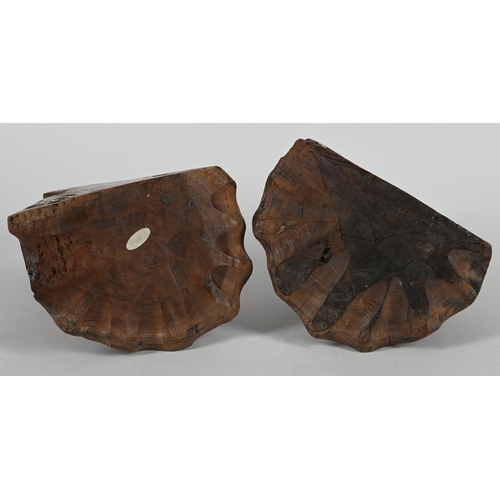 769 - A PAIR OF CARVED WALNUT WALL BRACKETS 20TH CENTURYEach of drawn scrolled form35cm high, 25cm wide, 1... 