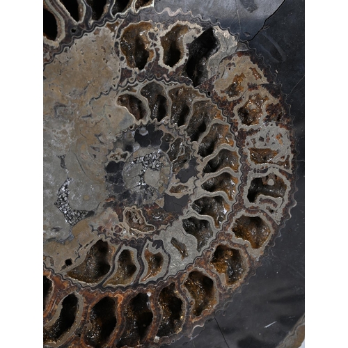 770 - TWO PAIRS OF AMMONITE HALVES One pair with pyritization, 31cm wideThe second pair, with crystalised ... 