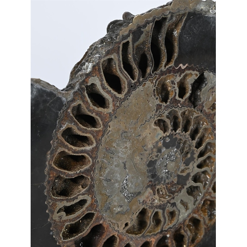 770 - TWO PAIRS OF AMMONITE HALVES One pair with pyritization, 31cm wideThe second pair, with crystalised ... 