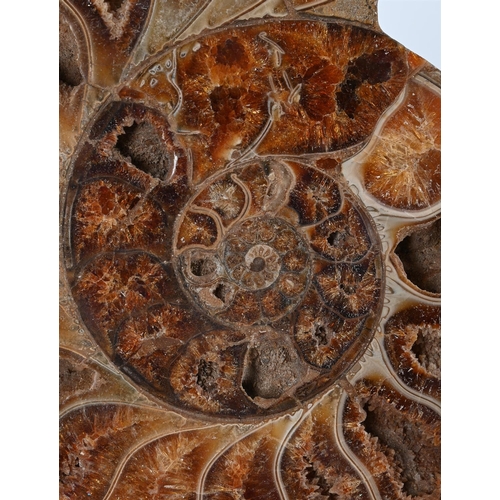 770 - TWO PAIRS OF AMMONITE HALVES One pair with pyritization, 31cm wideThe second pair, with crystalised ... 