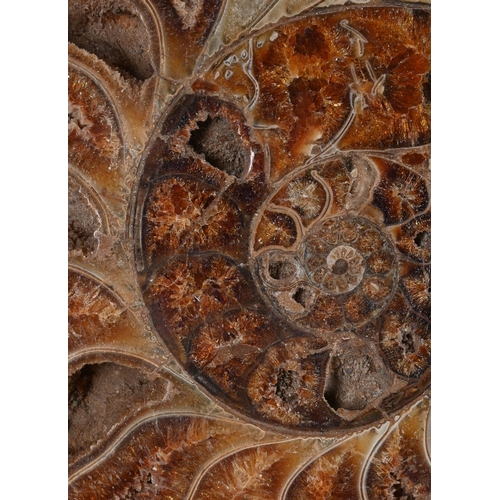 770 - TWO PAIRS OF AMMONITE HALVES One pair with pyritization, 31cm wideThe second pair, with crystalised ... 