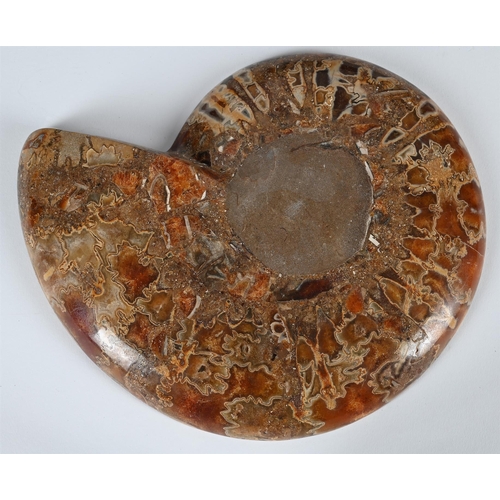 770 - TWO PAIRS OF AMMONITE HALVES One pair with pyritization, 31cm wideThe second pair, with crystalised ... 