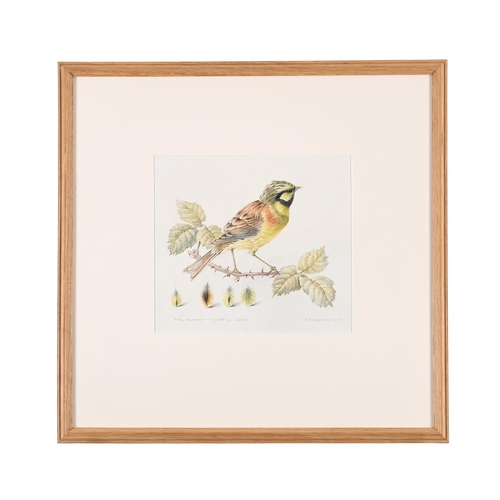 77 - λ MILDRED ELDRIDGE (BRITISH 1909-1991)THREE ANIMAL STUDIES OF A CIRL BUNTING, SISKIN, REDPOOL, AND M... 