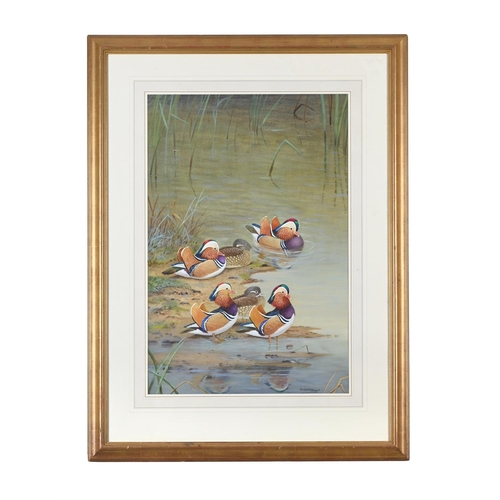 79 - λ RICHARD ROBJENT (BRITISH B.1937)MANDARIN DUCKSWatercolourSigned (lower right)76 x 50cm (29¾ x 19½ ... 