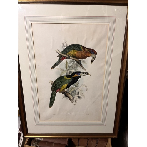 80 - AFTER EDWARD LEARTHREE COLOURED LITHOGRAPHS OF PARROTS Together with another after BarrabandColoured... 