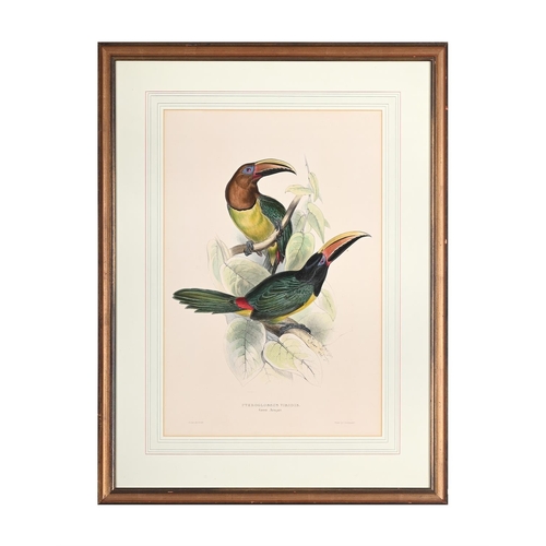 80 - AFTER EDWARD LEARTHREE COLOURED LITHOGRAPHS OF PARROTS Together with another after BarrabandColoured... 