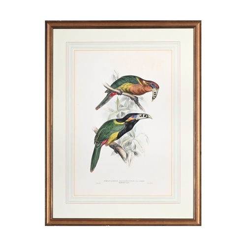 80 - AFTER EDWARD LEARTHREE COLOURED LITHOGRAPHS OF PARROTS Together with another after BarrabandColoured... 