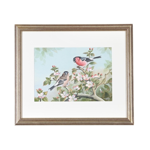 83 - λ BASIL EDE (BRITISH 1931-2016)BULLFINCHES IN BLOSSOMWatercolour and gouacheSigned and dated 1957 (l... 