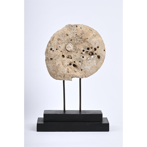 327 - AN AMMONITE FOSSIL Now mounted on modern 'museum' base, 37cm high overall