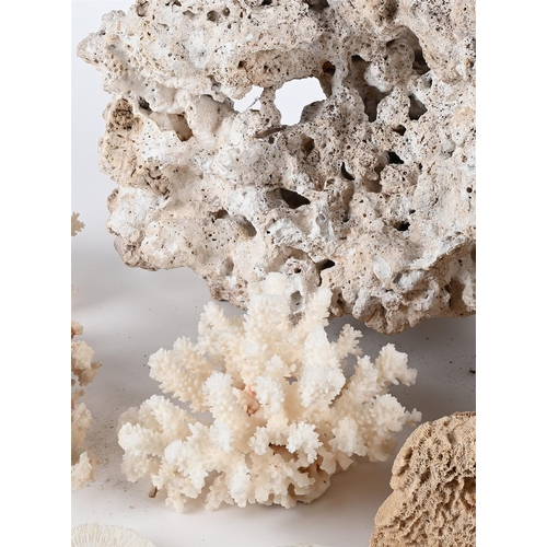 345 - Y A QUANTITY OF CORAL SPECIMENSthe largest approximately 38cm high, 54cm wide, 36cm deep, the smalle... 