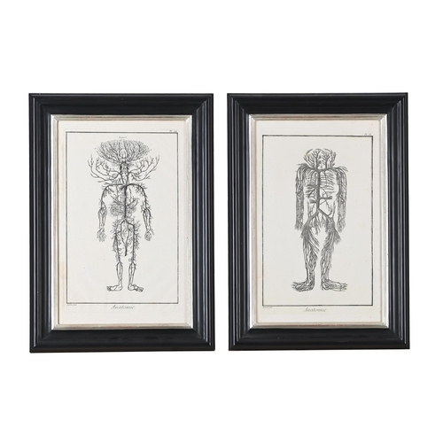 402 - A SET OF FOUR FRAMED ANATOMICAL PRINTS19TH OR 20TH CENTURY RESTRIKES OF 18TH CENTURY PLATESIn modern... 