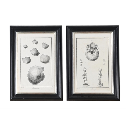 402 - A SET OF FOUR FRAMED ANATOMICAL PRINTS19TH OR 20TH CENTURY RESTRIKES OF 18TH CENTURY PLATESIn modern... 