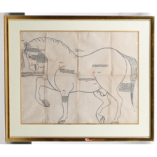 697 - FOUR INDIAN DRAWINGS 19TH CENTURYInk and gouache on paper, comprising a diagram of a horse with anat... 