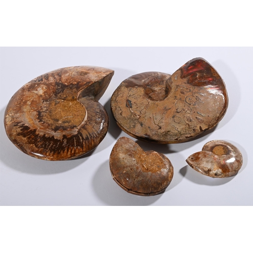 733 - FOUR PAIRS OF PYRITIZED AMMONITES WITH CALCITE JURASSIC PERIODthe smallest approximately 6cm high, 7... 