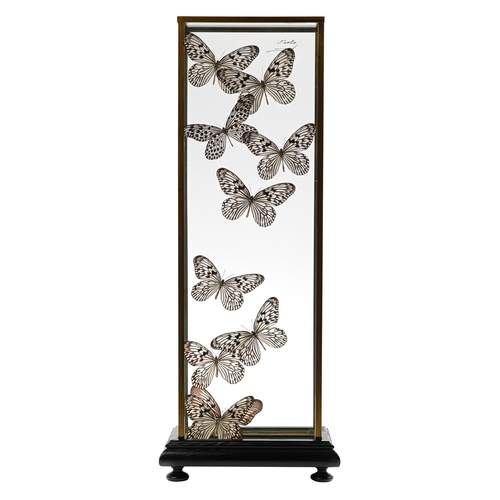 151 - Y A DEYROLLE BRASS DISPLAY CASE OF BUTTERFLIES WITH SIGNATURE, 20TH CENTURY OR EARLY 21ST CENTURY Pr... 