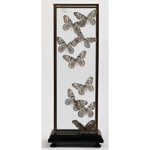 151 - Y A DEYROLLE BRASS DISPLAY CASE OF BUTTERFLIES WITH SIGNATURE, 20TH CENTURY OR EARLY 21ST CENTURY Pr... 