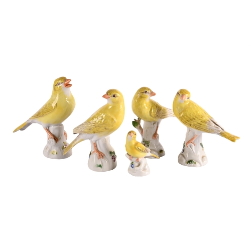 58 - A GROUP OF FIVE MEISSEN MODELS OF YELLOW FINCHES20TH CENTURYEach modelled perched atop a tree stumpe... 