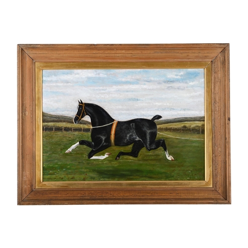 Lot 1037      