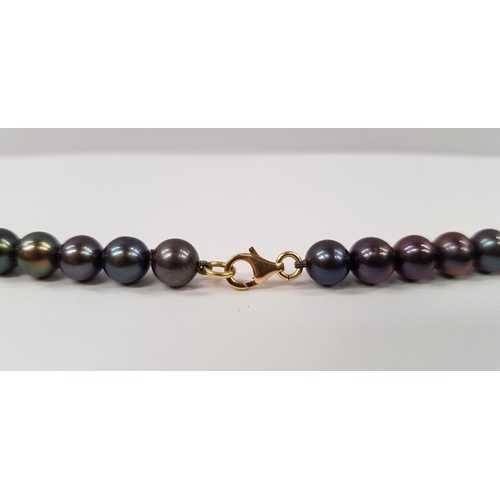 112 - A CASED STRAND OF PEACOCK PEARLS, with 18ct yellow gold clasp, 20 inches long the strand