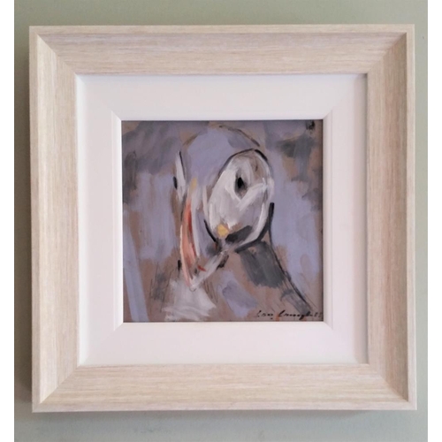 194 - CON CAMPBELL (IRISH, b. 1946), “PUFFIN”, oil on board, signed lower right, 35cm x 35cm approx. frame