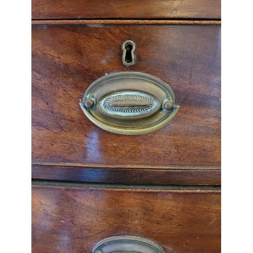 206 - A 19TH CENTURY BOW FRONTED MAHOGANY CHEST OF DRAWERS, 2 over 3, each drawer with brass swing handle ... 