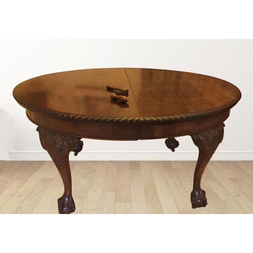 239 - A MAHOGANY OVAL DINING TABLE, extendable, on cabriole leg, claw and ball feet, castor wheels, two le... 