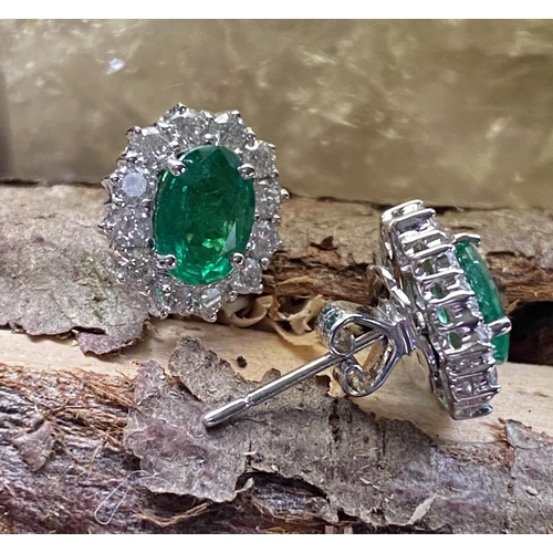 13 - AN ATTRACTIVE PAIR OF 18CT WHITE GOLD EMERALD & DIAMOND EARRINGS; this fantastic pair make an instan... 