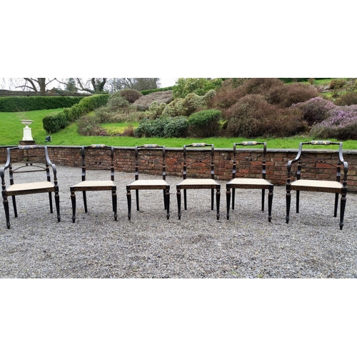 91 - A SUPERB SET OF EARLY 20TH CENTURY REGENCY STYLE EBONISED & GILT CHAIRS, (4 + 2 CARVERS), The entire... 