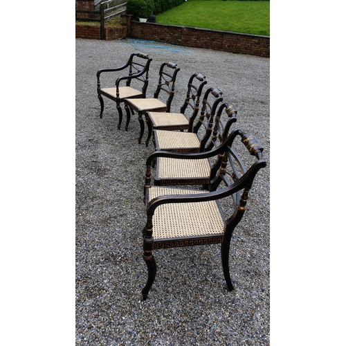 91 - A SUPERB SET OF EARLY 20TH CENTURY REGENCY STYLE EBONISED & GILT CHAIRS, (4 + 2 CARVERS), The entire... 