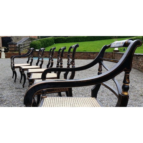 91 - A SUPERB SET OF EARLY 20TH CENTURY REGENCY STYLE EBONISED & GILT CHAIRS, (4 + 2 CARVERS), The entire... 