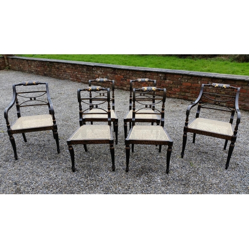 91 - A SUPERB SET OF EARLY 20TH CENTURY REGENCY STYLE EBONISED & GILT CHAIRS, (4 + 2 CARVERS), The entire... 