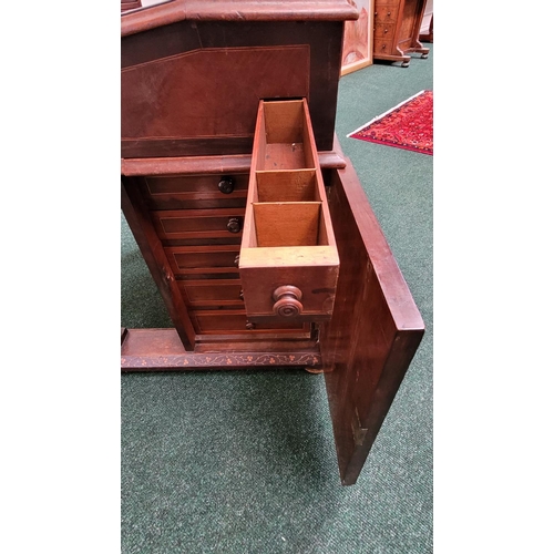 2 - A 19TH CENTURY IRISH KILLARNEY-WARE DAVENPORT DESK, circa 1850, this fantastic piece of Irish furnit... 