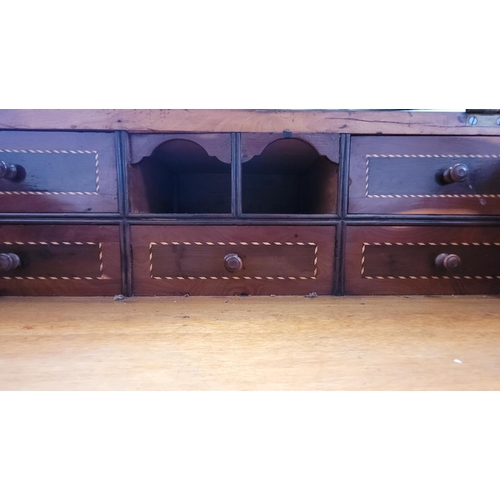 2 - A 19TH CENTURY IRISH KILLARNEY-WARE DAVENPORT DESK, circa 1850, this fantastic piece of Irish furnit... 