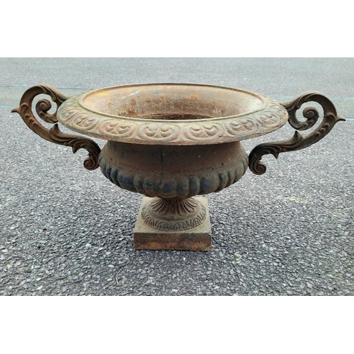 219 - AN EXCEPTIONAL PAIR OF HEAVY CAST IRON GARDEN URNS / PLANTERS	, each with gadrooned rim and ornate s... 