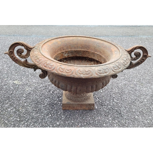 219 - AN EXCEPTIONAL PAIR OF HEAVY CAST IRON GARDEN URNS / PLANTERS	, each with gadrooned rim and ornate s... 