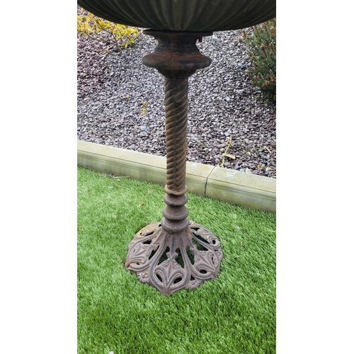 220 - A RUST COLOURED GARDEN BIRD BATH, 	the shell shaped top stands upon a barley twist column support te... 