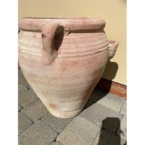 248 - A TERECOTTA GARDEN FLOWER POT, with handles and pierced sides for smaller flowers. Dimensions: 60cm ... 