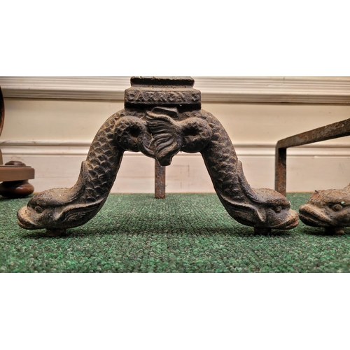 25 - A PAIR OF 19TH CENTURY SCOTTISH REGENCY CAST IRON FIRE ANDIRONS / FIRE DOGS,  	made by the famous Ca... 