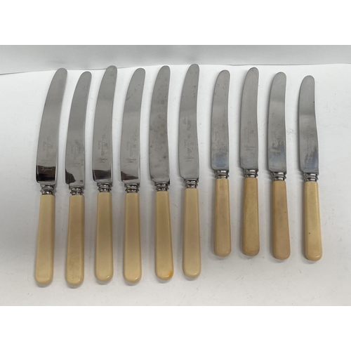 228 - A COLLECTION OF WEIR & SON LTD DUBLIN STAINLESS STEEL KNIVES, with resin handles, in two sizes (10 p... 